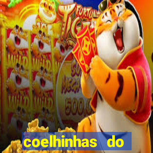 coelhinhas do brasil jp